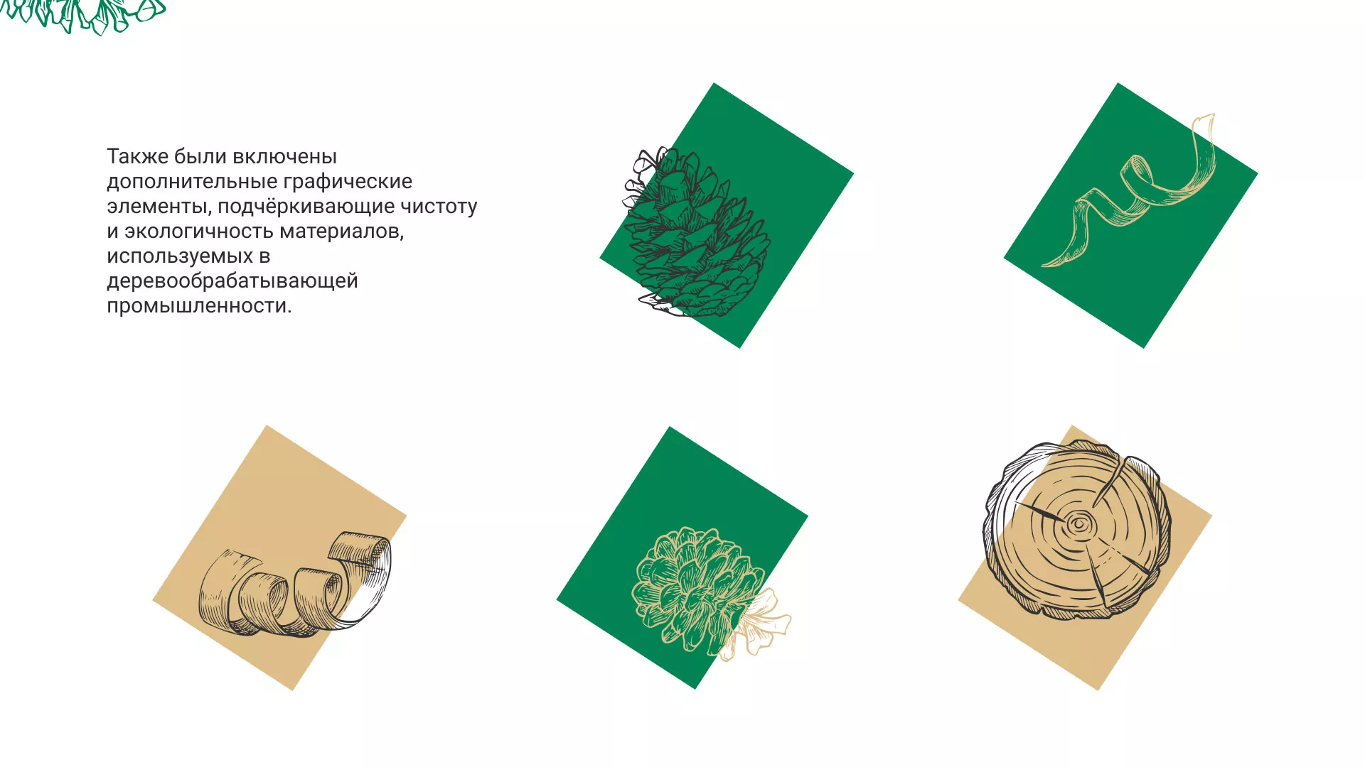 Разработка айдентики и сайта компании «Plastwood» в Богородицке