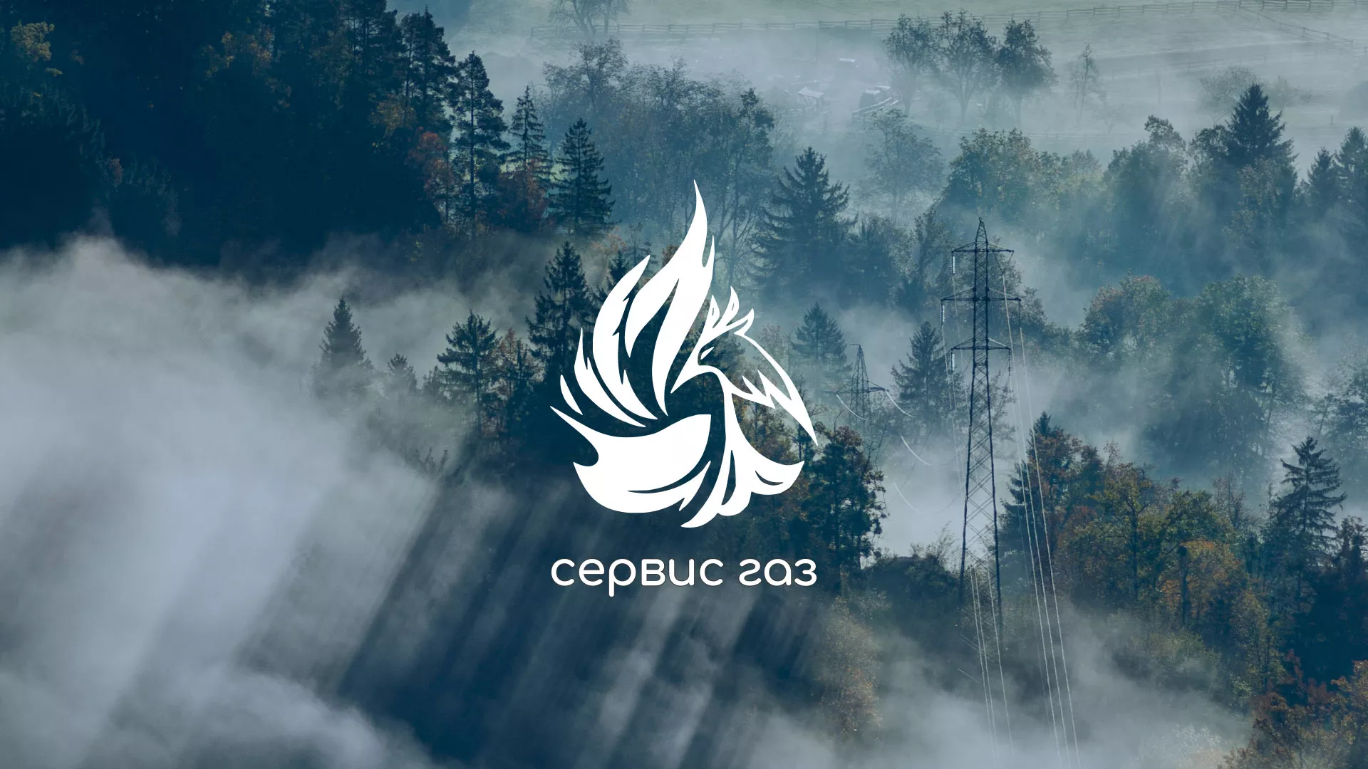 Создание сайта компании «Сервис газ» в Богородицке