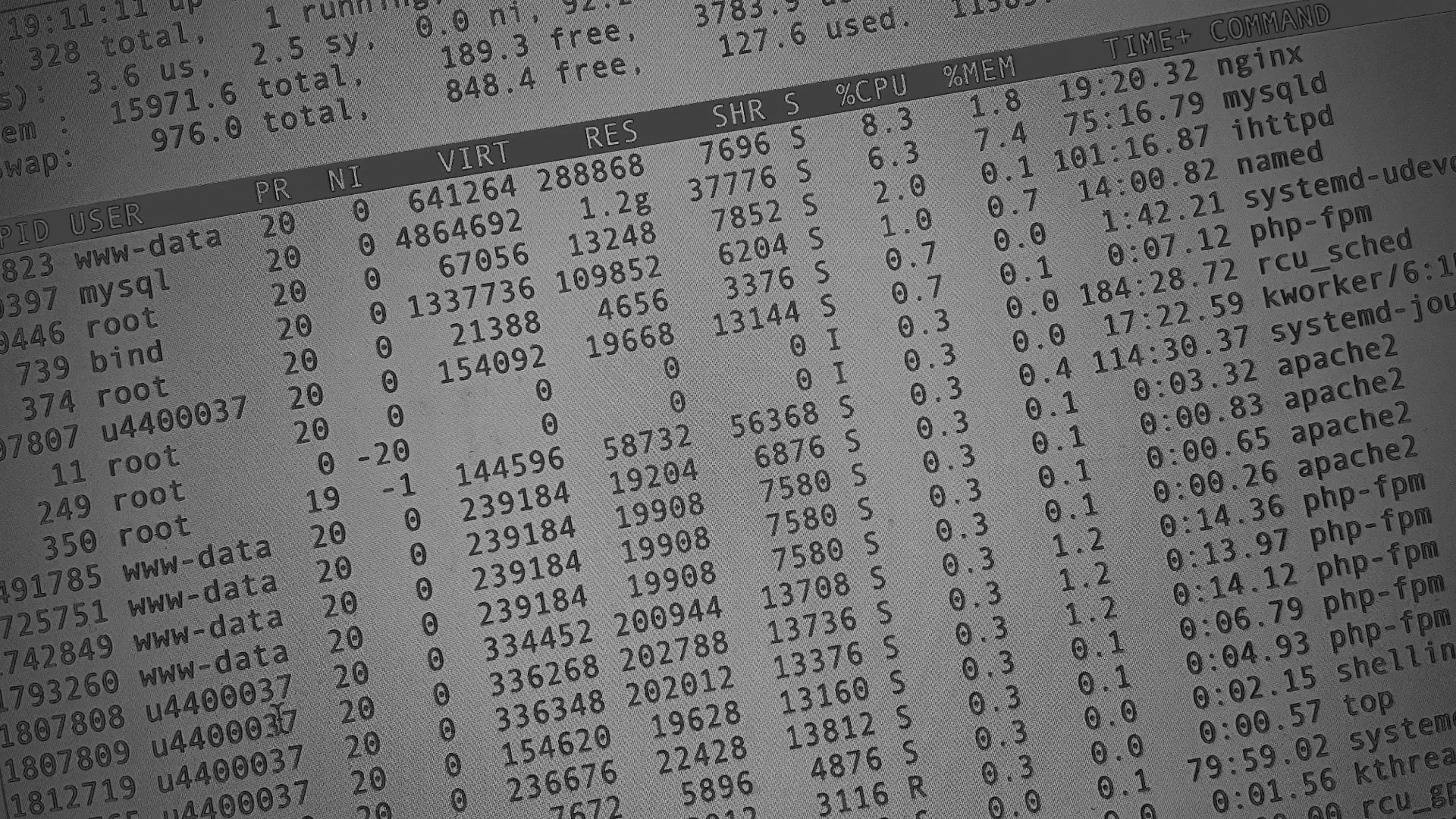 Настройка сервера в Богородицке