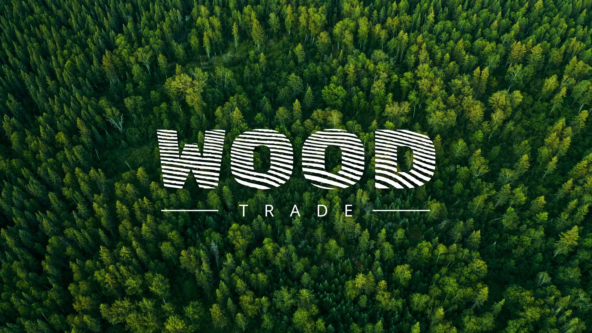 Разработка интернет-магазина компании «Wood Trade» в Богородицке
