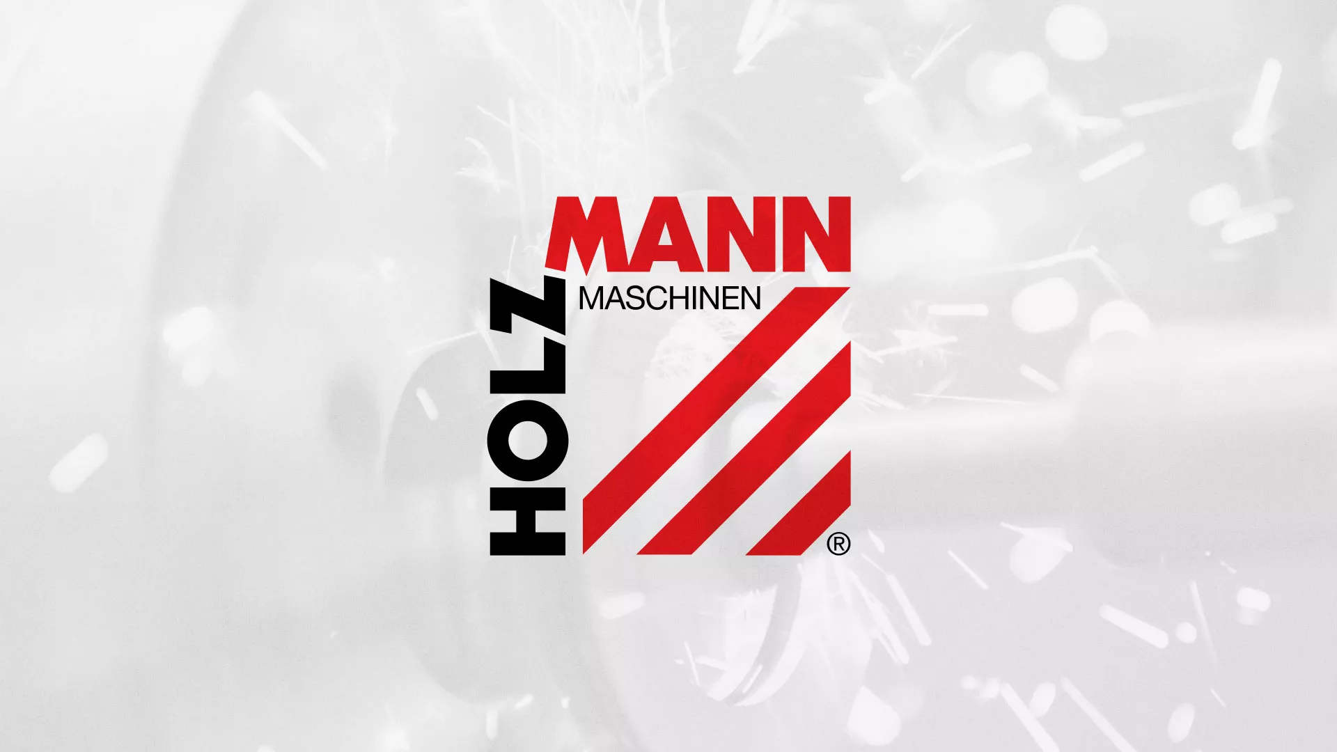 Создание сайта компании «HOLZMANN Maschinen GmbH» в Богородицке